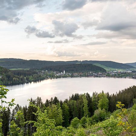Ferienwohnung Sonnenglueck Mit Grosszuegigem Suedbalkon Lenzkirch Bagian luar foto