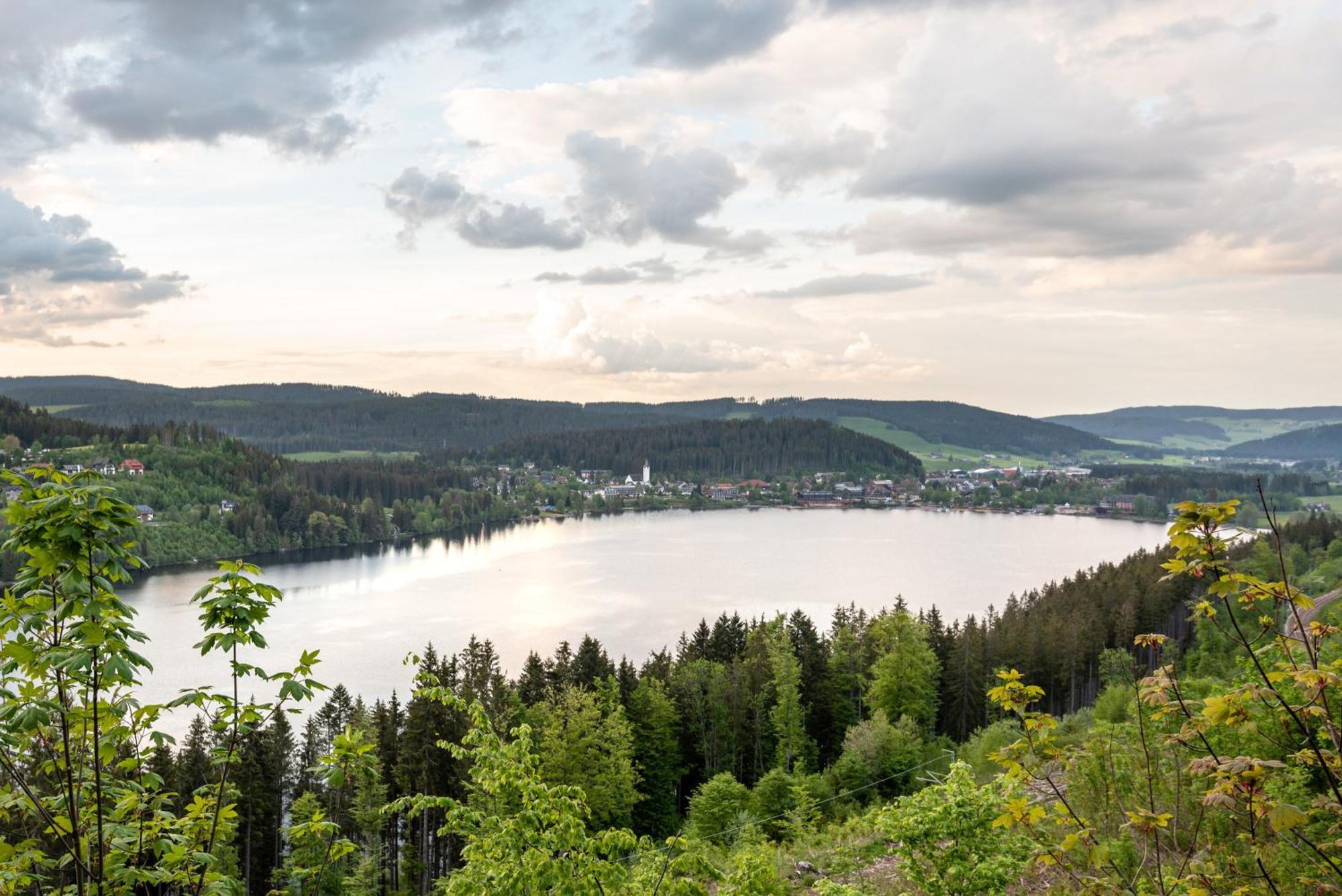 Ferienwohnung Sonnenglueck Mit Grosszuegigem Suedbalkon Lenzkirch Bagian luar foto