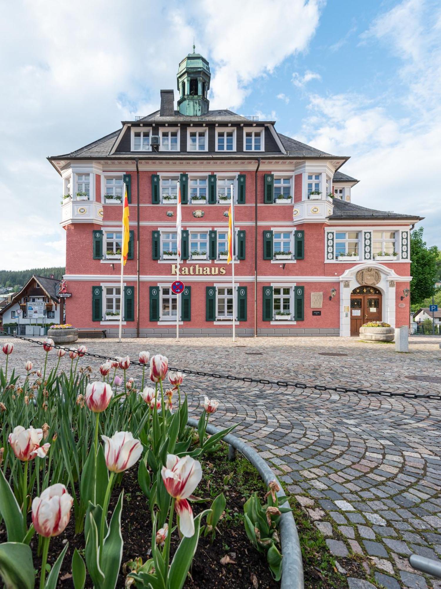 Ferienwohnung Sonnenglueck Mit Grosszuegigem Suedbalkon Lenzkirch Bagian luar foto